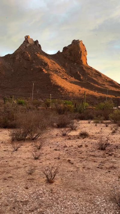 Watch ʚMelody ♡ Mewɞ⋅'s leaked NSFW video on TwXstars