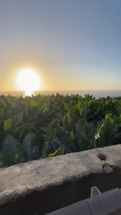 Watch Billy Essex's leaked NSFW video on TwXstars