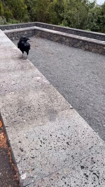 Watch Billy Essex's leaked NSFW video on TwXstars