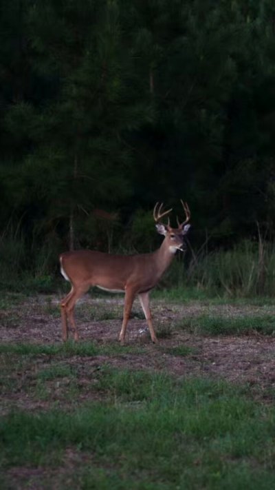 Watch Paige Bauer's leaked NSFW video on TwXstars