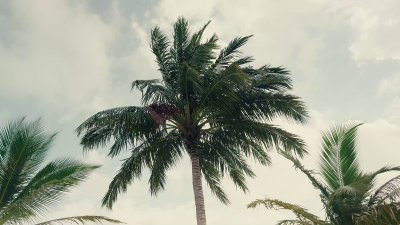 Watch Sophie Mudd 🤎's leaked NSFW video on TwXstars