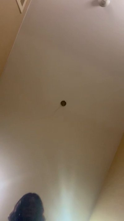 Watch Got Throat?'s leaked NSFW video on TwXstars