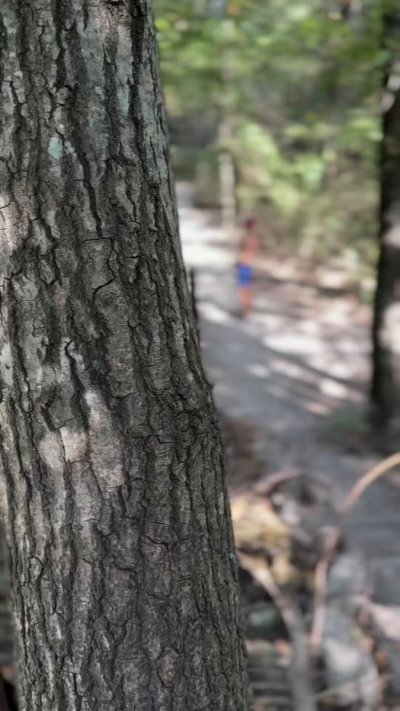 Watch Osvaldo Mireles 👨🏻's leaked NSFW video on TwXstars