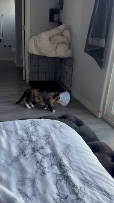 Watch Ivy Ferguson's leaked NSFW video on TwXstars