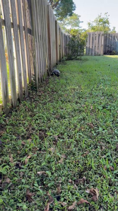 Watch MaryCate Delvey's leaked NSFW video on TwXstars