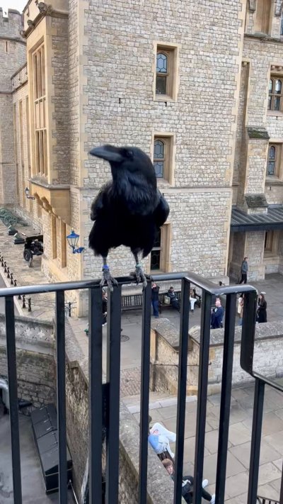 Watch Billy Essex's leaked NSFW video on TwXstars