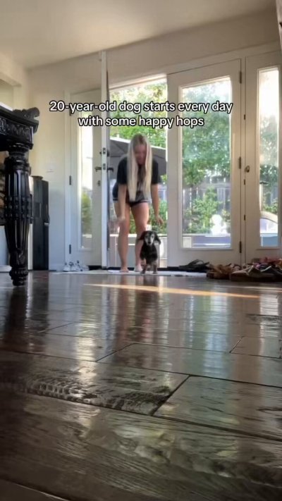 Watch WeRateDogs's leaked NSFW video on TwXstars