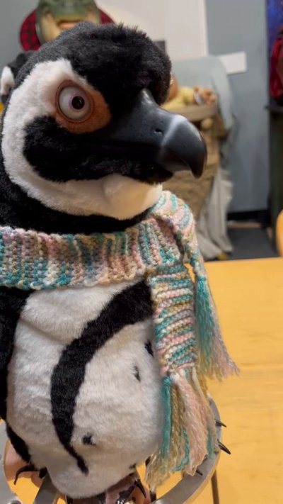 Watch zach's leaked NSFW video on TwXstars