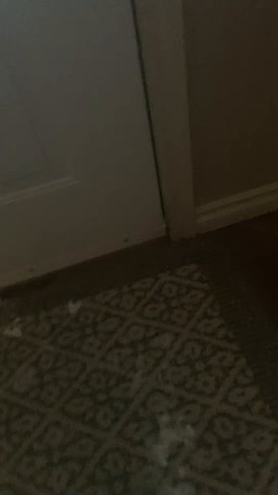 Watch Bigbananamilfshake \Battles/\Boobs/\Bananas/ 🍌🏝️'s leaked NSFW video on TwXstars