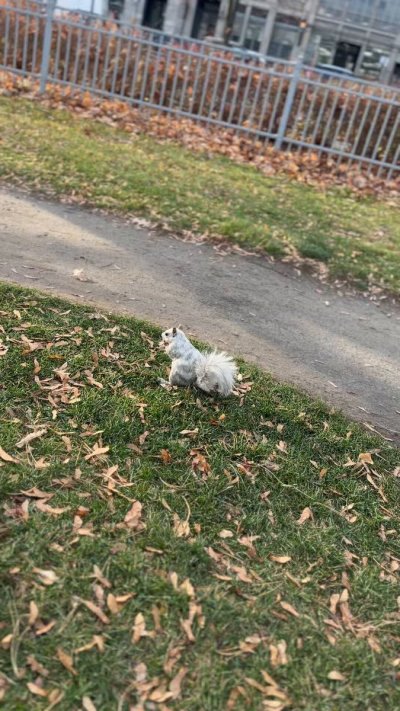 Watch Marina Valmont's leaked NSFW video on TwXstars