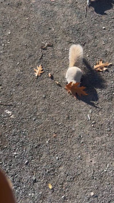 Watch Marina Valmont's leaked NSFW video on TwXstars