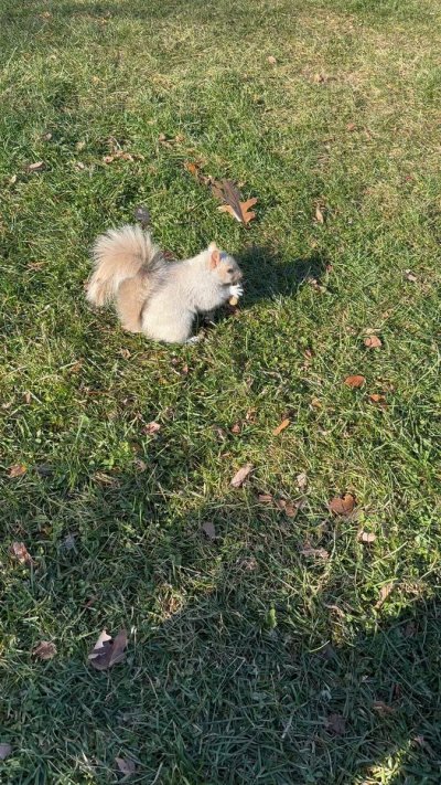 Watch Marina Valmont's leaked NSFW video on TwXstars