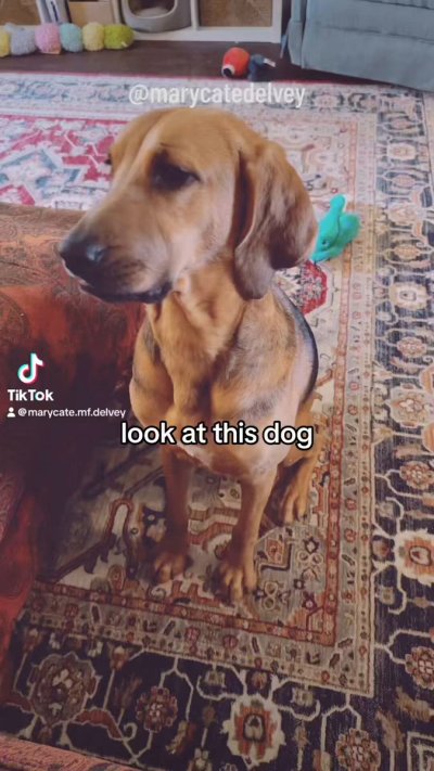 Watch MaryCate Delvey's leaked NSFW video on TwXstars