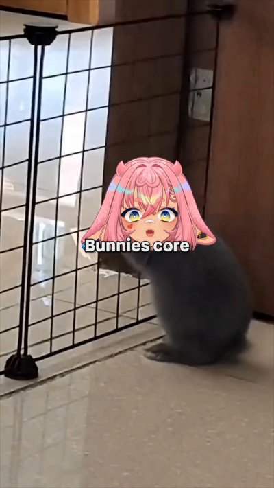 Watch el_XoX 🐰🔞 SUBATHON's leaked NSFW video on TwXstars