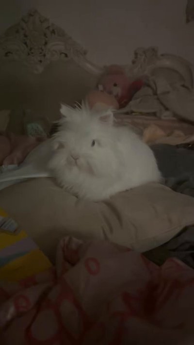 Watch Sarina Valentina's leaked NSFW video on TwXstars