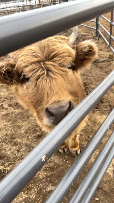 Watch Skylar🤍🤍's leaked NSFW video on TwXstars