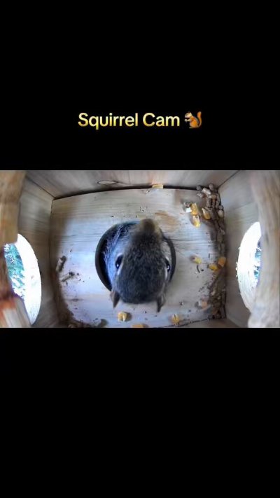 Watch Chris Salvatore's leaked NSFW video on TwXstars