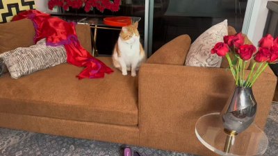 Watch ryankeely's leaked NSFW video on TwXstars