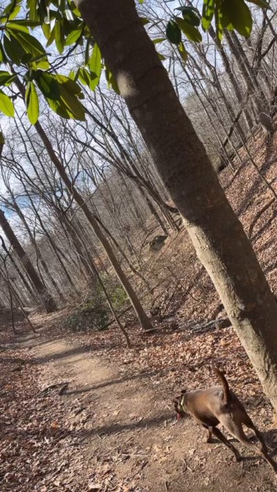 Watch CAM 😈's leaked NSFW video on TwXstars