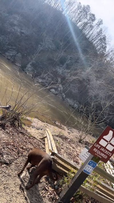 Watch CAM 😈's leaked NSFW video on TwXstars