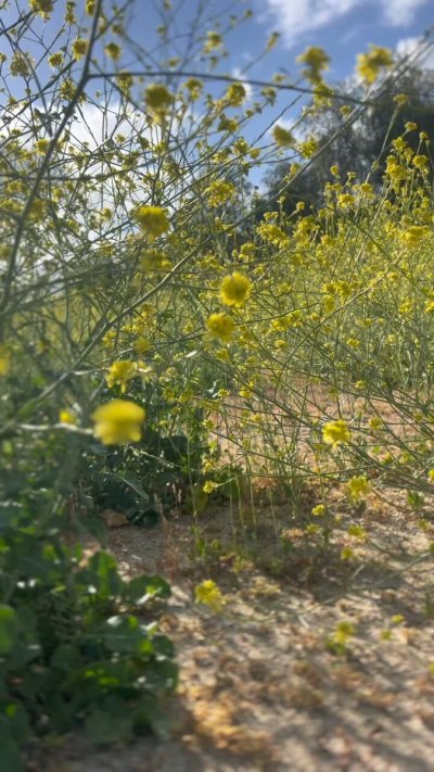 Watch ryankeely's leaked NSFW video on TwXstars