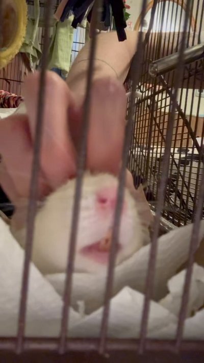 Watch hickey's leaked NSFW video on TwXstars