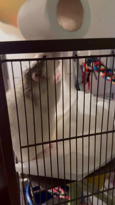 Watch hickey's leaked NSFW video on TwXstars