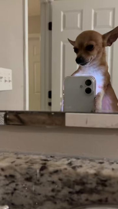 Watch DIOR🖤's leaked NSFW video on TwXstars