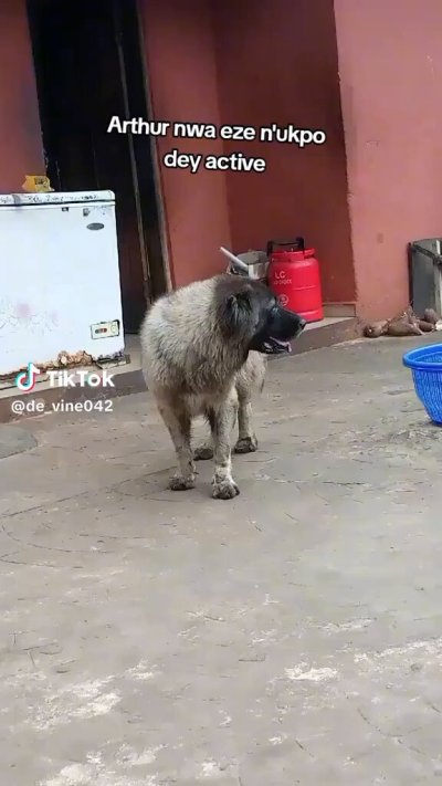 Watch DIOR🖤's leaked NSFW video on TwXstars