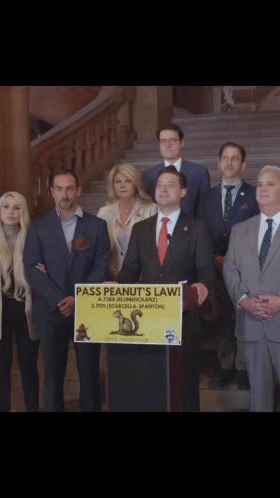 Watch Squirrel_Dad's leaked NSFW video on TwXstars