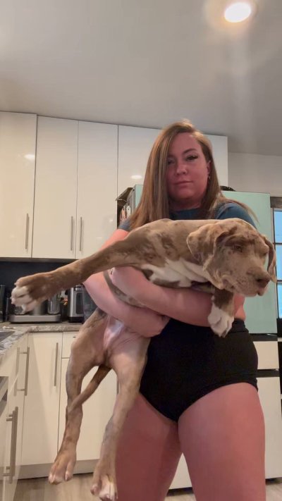 Watch Maddy O'Reilly's leaked NSFW video on TwXstars