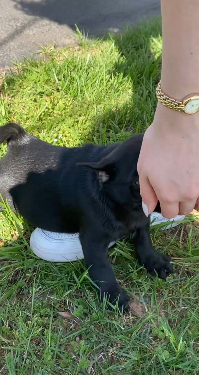 Watch Verrby's leaked NSFW video on TwXstars