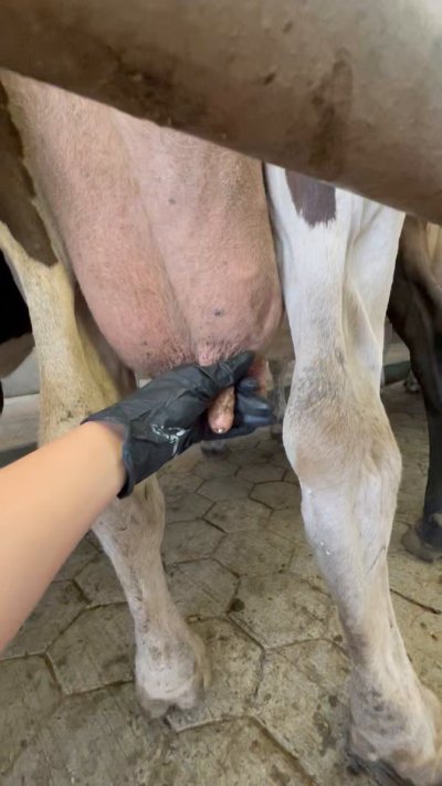 Watch Itsthatkiwigirl's leaked NSFW video on TwXstars