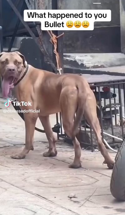 Watch DIOR🖤's leaked NSFW video on TwXstars