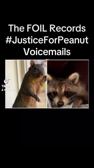 Watch Squirrel_Dad's leaked NSFW video on TwXstars