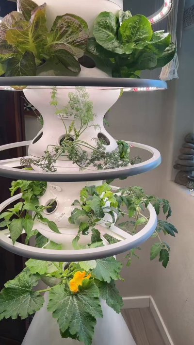 Watch Natalia Starr's leaked NSFW video on TwXstars