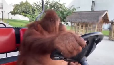 Watch a girl with no face ⚡️'s leaked NSFW video on TwXstars