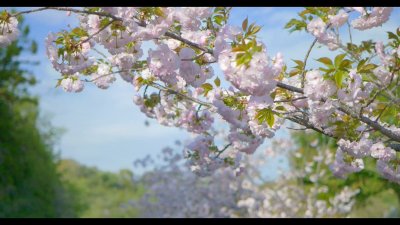 Watch M＆M's leaked NSFW video on TwXstars