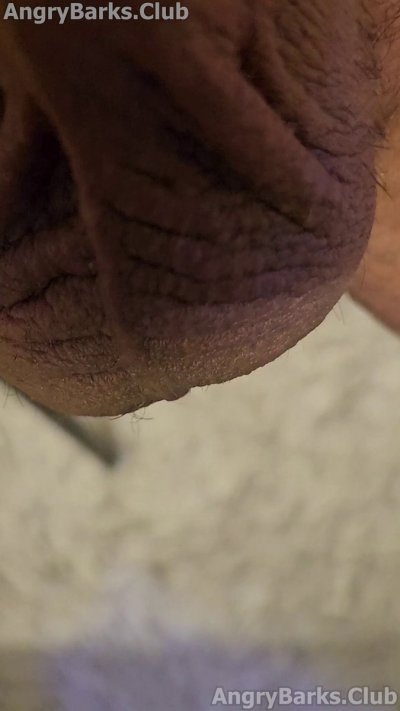 Watch 🔞1-800-🅱️RK-ALOT🔞 🔜 iFC 2025's leaked NSFW video on TwXstars