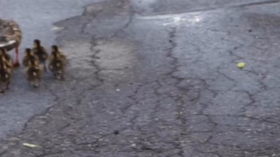 Watch Hazy McGrady's leaked NSFW video on TwXstars