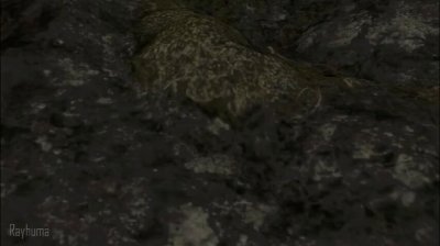 Watch Rayhuma 🔞's leaked NSFW video on TwXstars