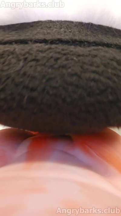 Watch 🔞1-800-🅱️RK-ALOT🔞 🔜 iFC 2025's leaked NSFW video on TwXstars