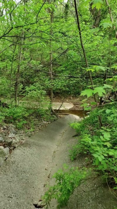 Watch 🔞1-800-🅱️RK-ALOT🔞 🔜 iFC 2025's leaked NSFW video on TwXstars