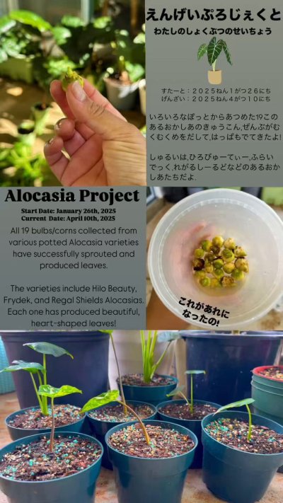 Watch Mila Loves's leaked NSFW video on TwXstars