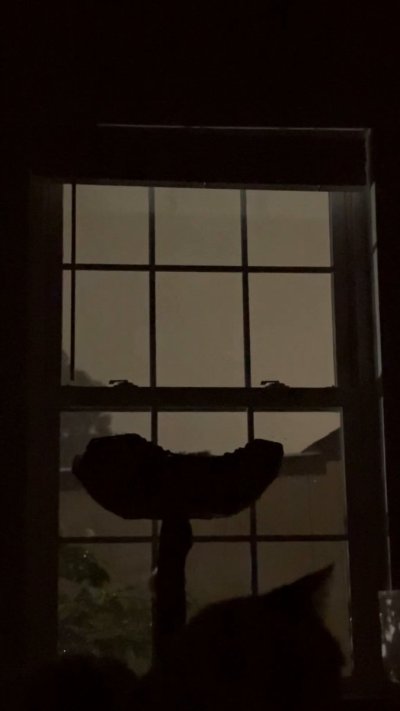 Watch QTsnack's leaked NSFW video on TwXstars