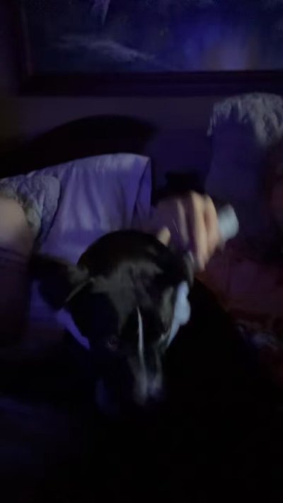 Watch Zoey Taylor's leaked NSFW video on TwXstars