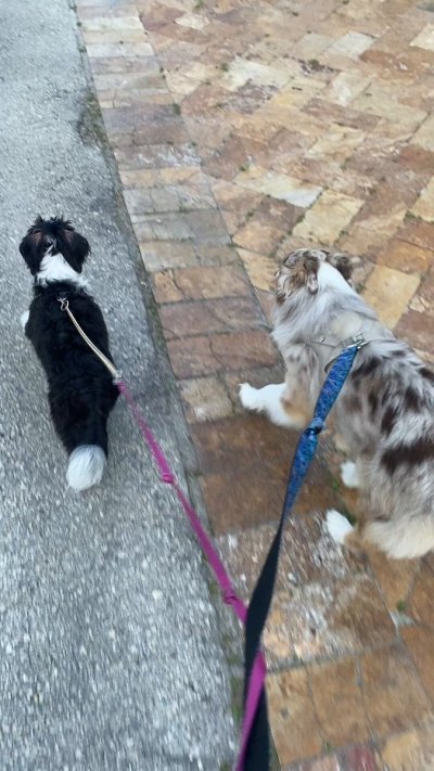 Watch Emmy Elliott's leaked NSFW video on TwXstars