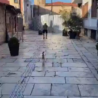 Watch Buitengebieden's leaked NSFW video on TwXstars