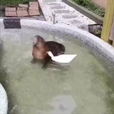 Watch Buitengebieden's leaked NSFW video on TwXstars