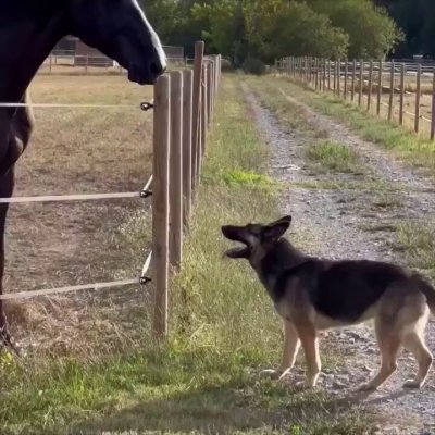 Watch Buitengebieden's leaked NSFW video on TwXstars